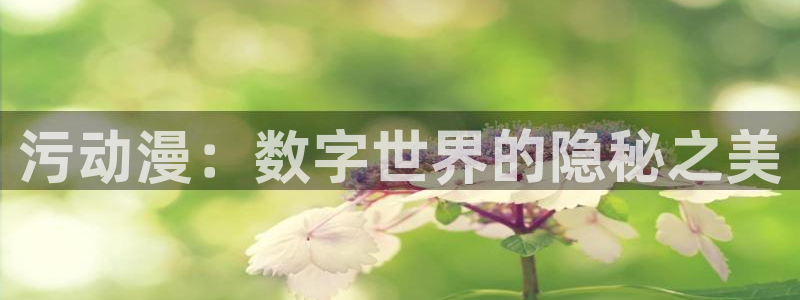 风车动漫手机动漫网：污动漫：数字世界的隐秘之美