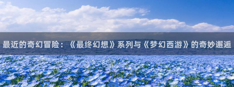 风车动漫专注动漫的网：最近的奇幻冒险：《最终幻想》系列与《梦幻西游》的奇妙邂逅