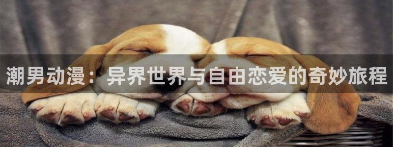风车动漫网530：潮男动漫：异界世界与自由恋爱的奇妙旅程