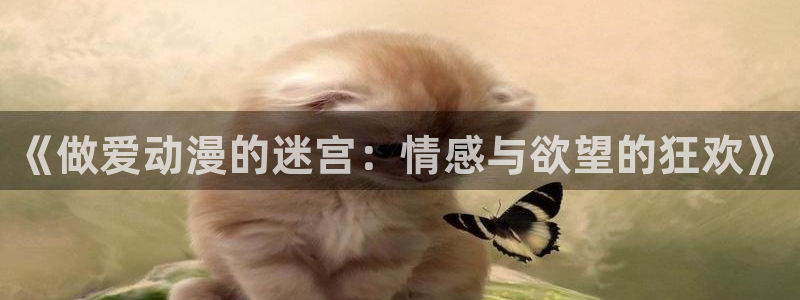 风车动漫网站：《做爱动漫的迷宫：情感与欲望的狂欢》