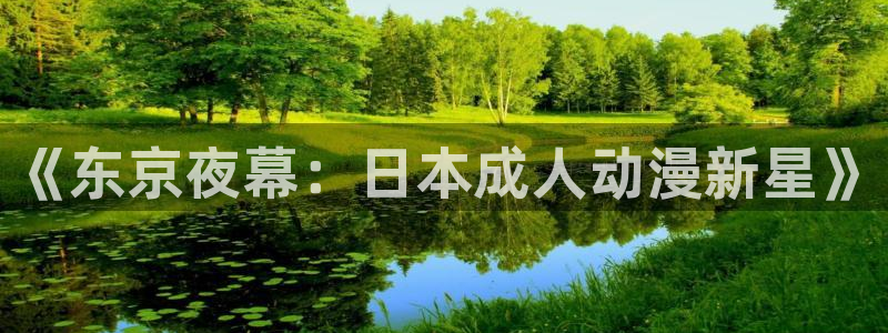 一拳超人风车动漫免费观看：《东京夜幕：日本成人动漫新星》