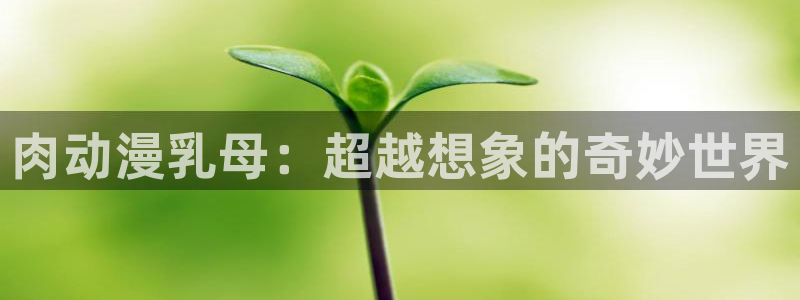 风车动漫 下载：肉动漫乳母：超越想象的奇妙世界