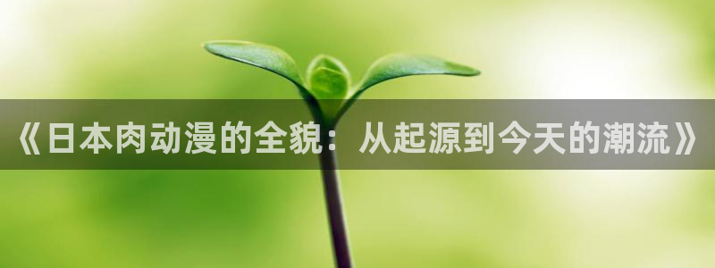 风车动漫?：《日本肉动漫的全貌：从起源到今天的潮流》